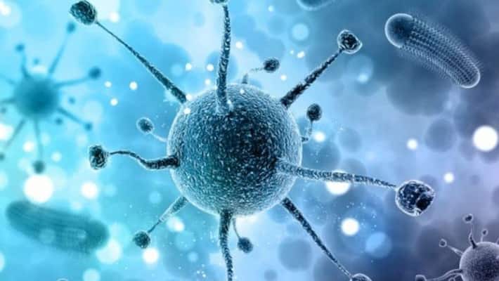 Decline in COVID-19 cases, India reports less than 30,000 new infections, 291 deaths in 24 hours Decline in COVID-19 cases, India reports less than 30,000 new infections, 291 deaths in 24 hours