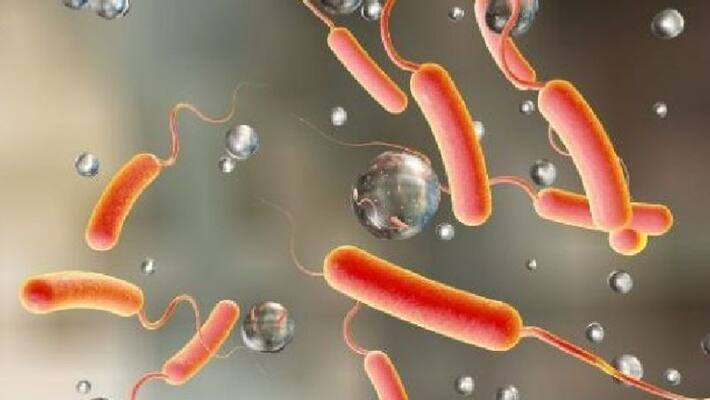 Due to the outbreak of cholera in Karaikal District Collector has ordered a three days holiday for schools and colleges Due to the outbreak of cholera in Karaikal District Collector has ordered a three days holiday for schools and colleges