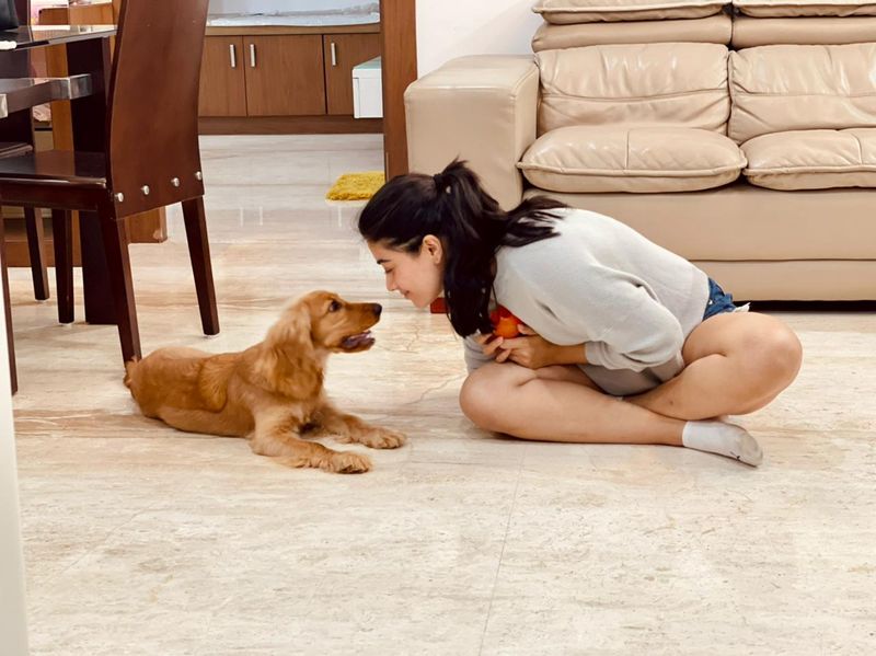 Actress Rashmikha playing her cut dog photo goes viral