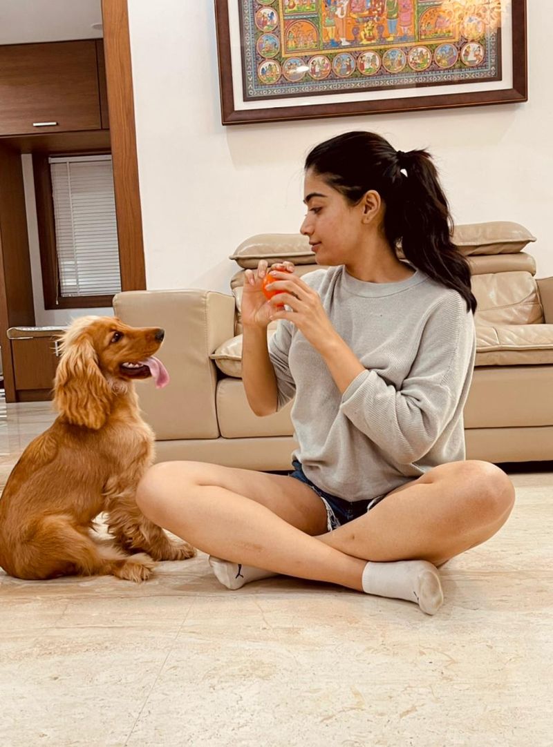 Actress Rashmikha playing her cut dog photo goes viral