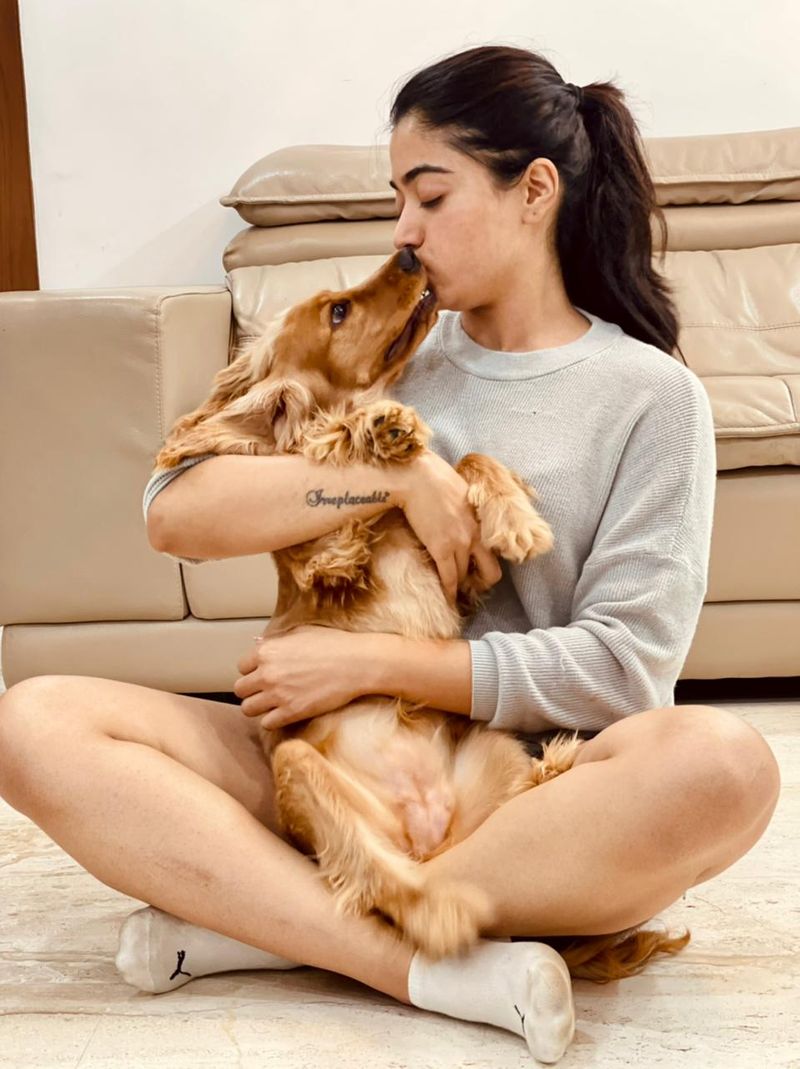 Actress Rashmikha playing her cut dog photo goes viral