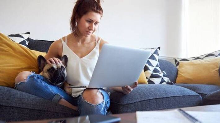people are considering giving up their dogs dog trust says people are considering giving up their dogs dog trust says