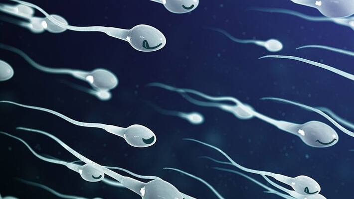 Reasons That Lead To Falling Sperm Count In Men Reasons That Lead To Falling Sperm Count In Men