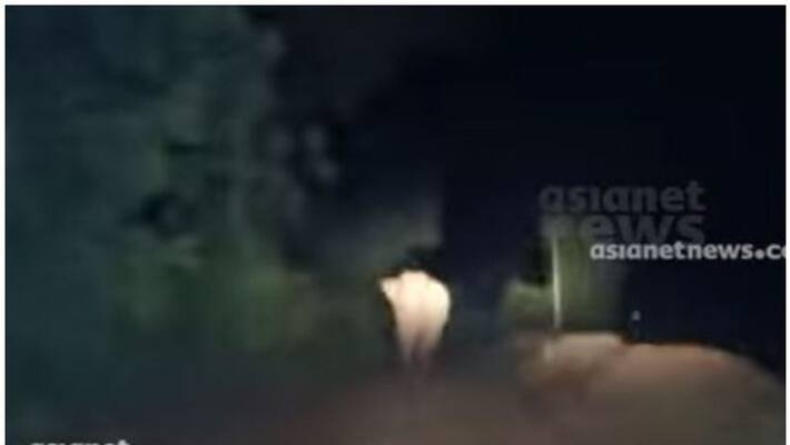 wild tusker creates panic in Attappadi village wild tusker creates panic in Attappadi village
