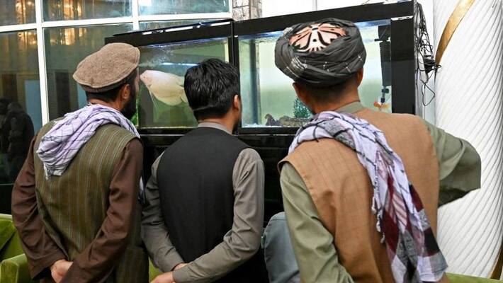Who led the rule ..? Tensions among key leaders in Afghanistan ..! Who led the rule ..? Tensions among key leaders in Afghanistan ..!