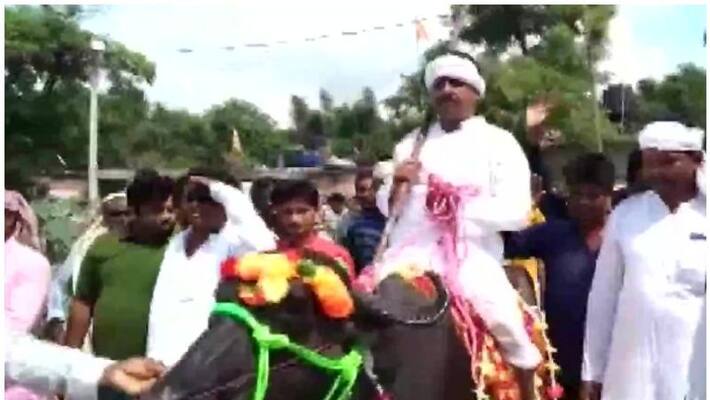 candidate went on buffalo to file nomination in bihar candidate went on buffalo to file nomination in bihar