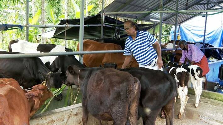 At the age of eighty, this ex service man cared for 18 cows At the age of eighty, this ex service man cared for 18 cows
