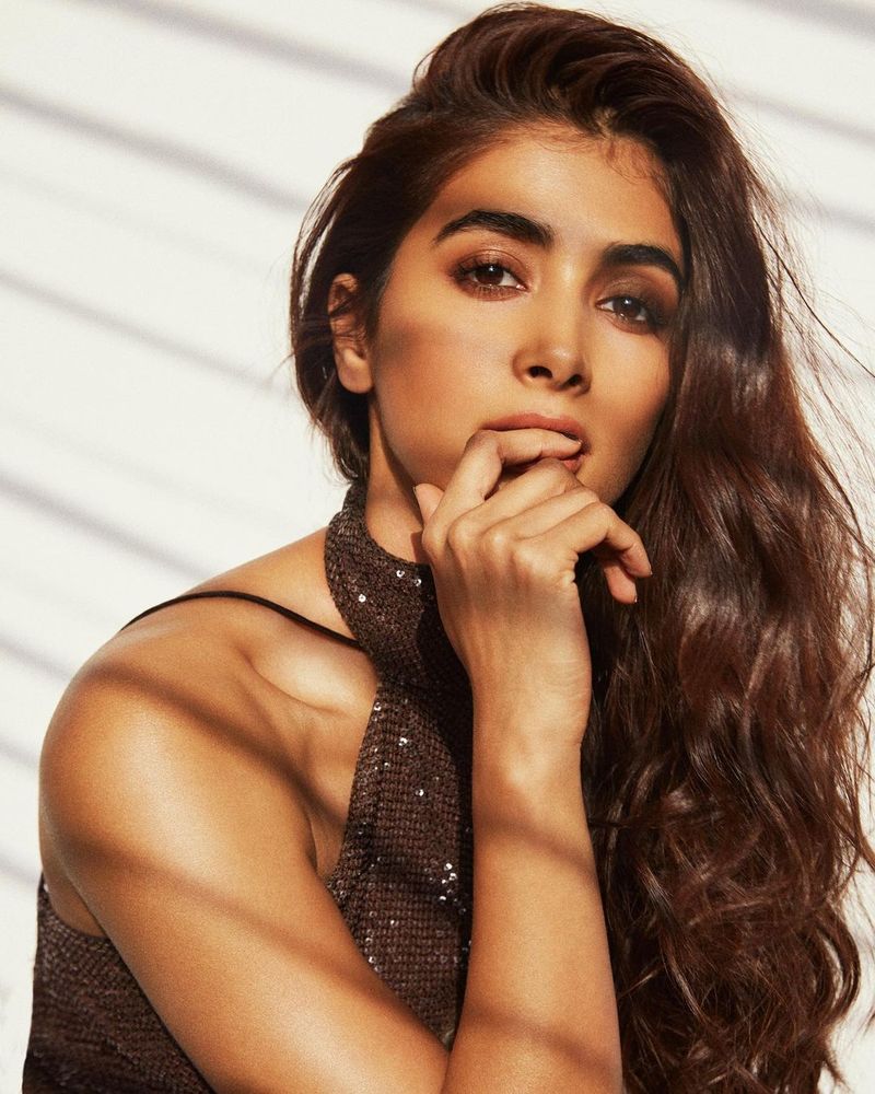 pooja hegde dances and enjoys night party says she is sober and sorry to disappointing