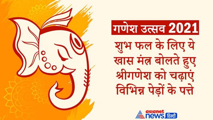 Ganesh Utsav, offering different leaves to Shri Ganesh with these mantra may give you auspicious results Ganesh Utsav, offering different leaves to Shri Ganesh with these mantra may give you auspicious results