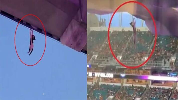 viral video: A Cat dangles and falls off upper deck at Football stadium viral video: A Cat dangles and falls off upper deck at Football stadium