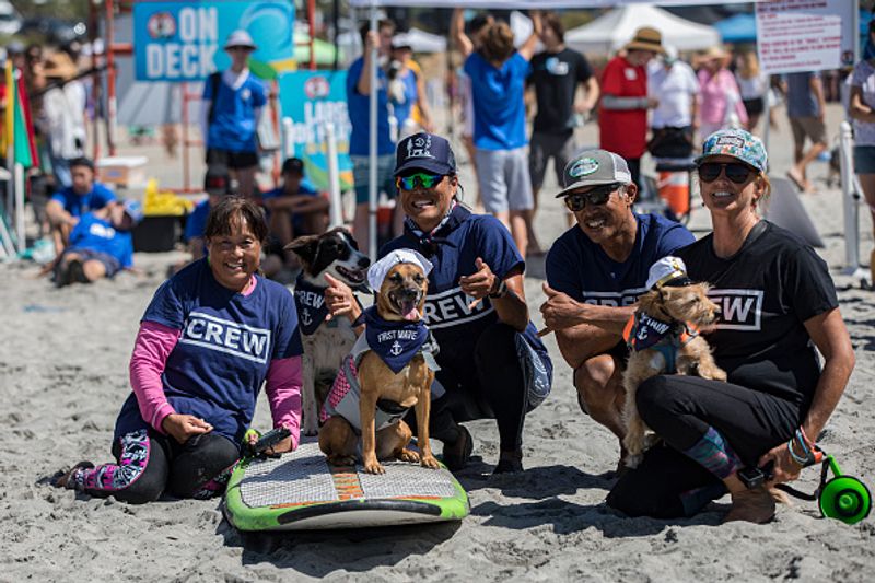 Dog surfing to help orphaned dogs see the pictures