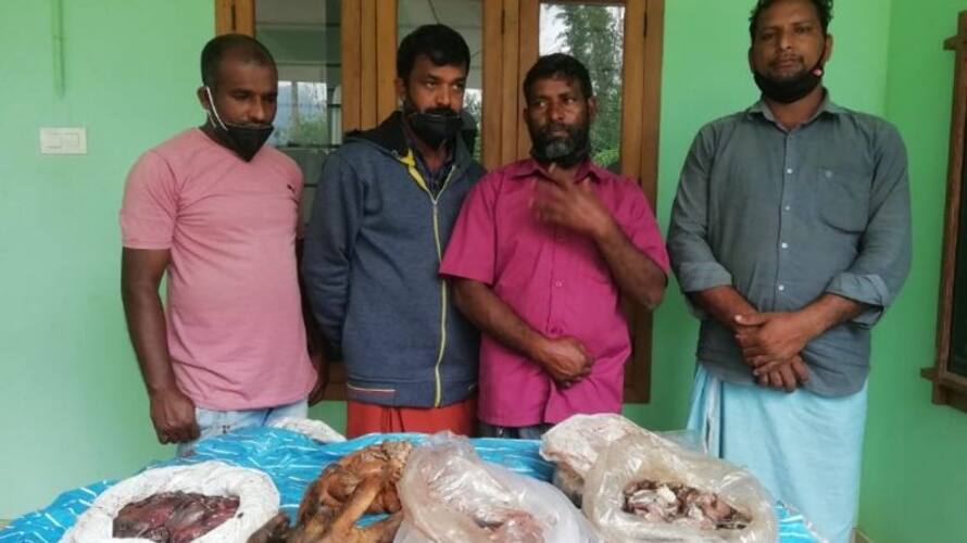മേപ്പാടിയില്‍ കേഴമാനിന്റെ ഇറച്ചി വില്‍പ്പന നടത്തിയ സംഘം പിടിയില്