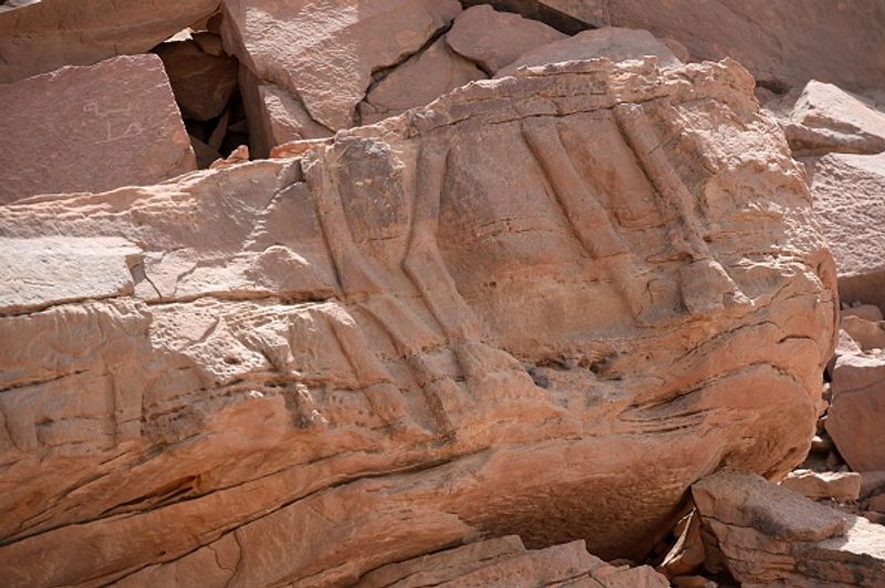 Archaeologists say camel sculptures in Saudi Arabia are between 7000 and 8000 years old