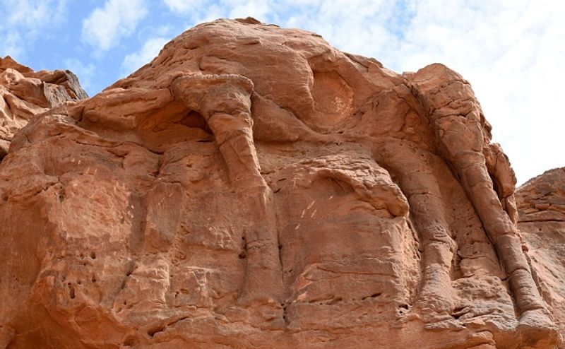 Archaeologists say camel sculptures in Saudi Arabia are between 7000 and 8000 years old