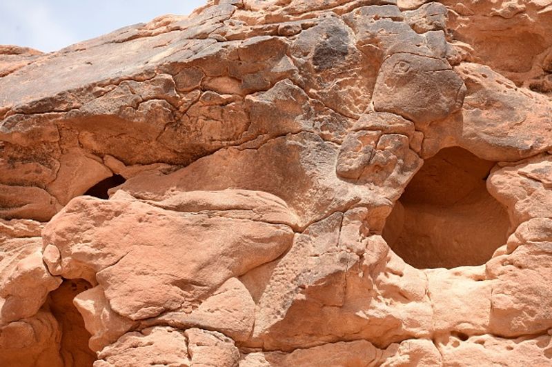 Archaeologists say camel sculptures in Saudi Arabia are between 7000 and 8000 years old