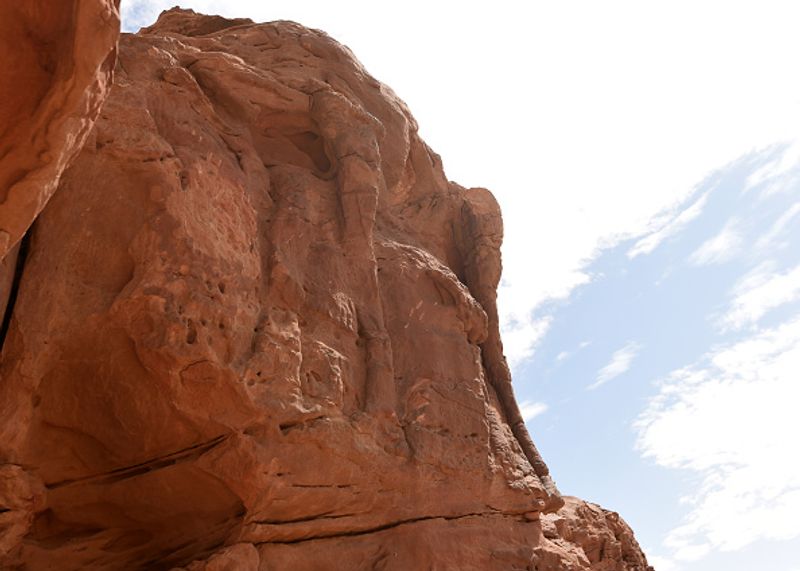 Archaeologists say camel sculptures in Saudi Arabia are between 7000 and 8000 years old