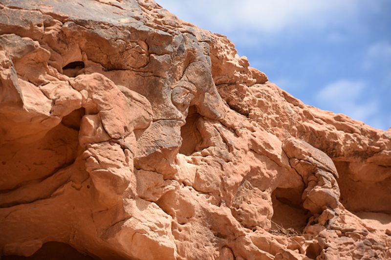 Archaeologists say camel sculptures in Saudi Arabia are between 7000 and 8000 years old