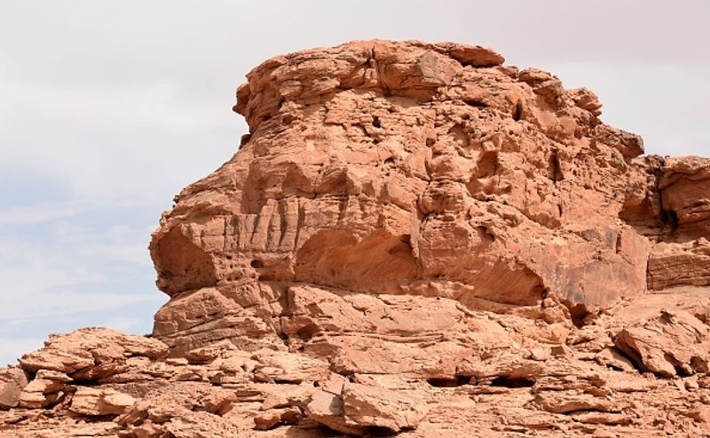 Archaeologists say camel sculptures in Saudi Arabia are between 7000 and 8000 years old