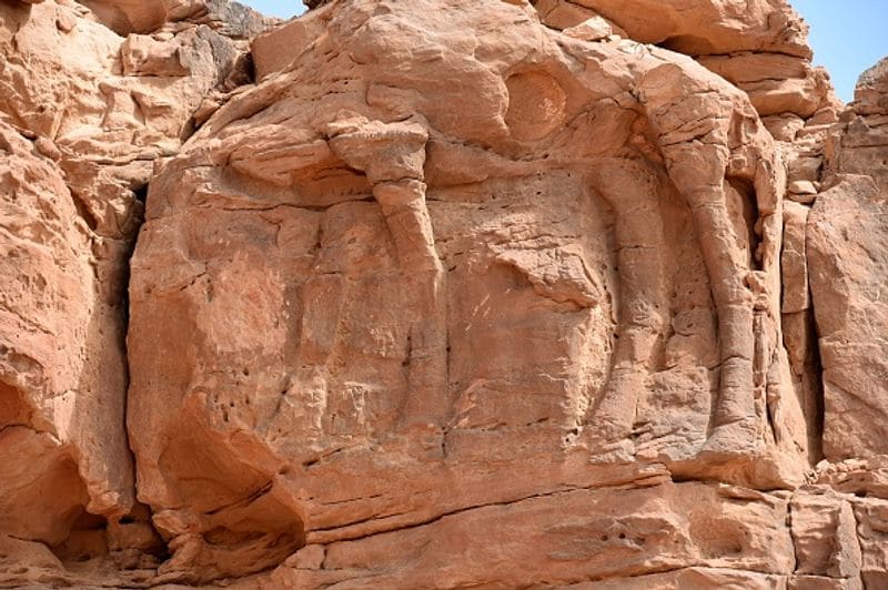 Archaeologists say camel sculptures in Saudi Arabia are between 7000 and 8000 years old