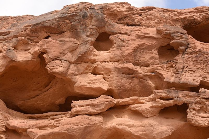 Archaeologists say camel sculptures in Saudi Arabia are between 7000 and 8000 years old