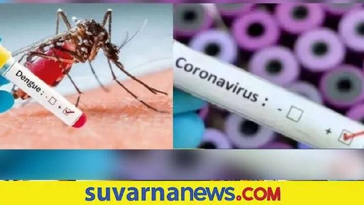 covid Decline dengue Cases raises in Udupi District snr covid Decline dengue Cases raises in Udupi District snr