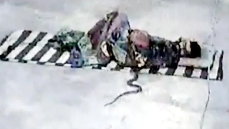 Rajasthan strange incident happened at Banswara where snake slept with devotee of Shivji