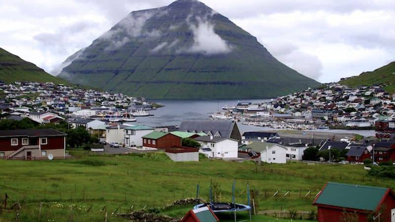Denmark 1400 dolphins killed in Faroe Islands Photos goes viral