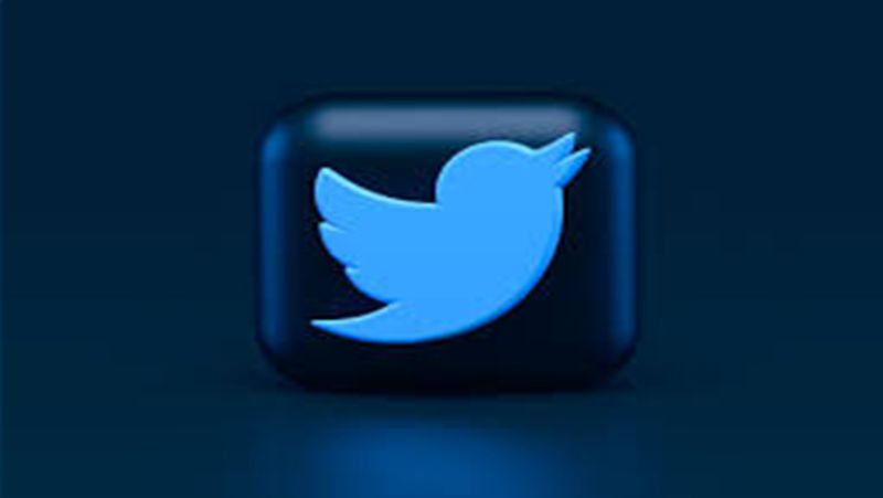 Twitter resumes blue badge process, Useful for authentic account, Here the government is promoting koo