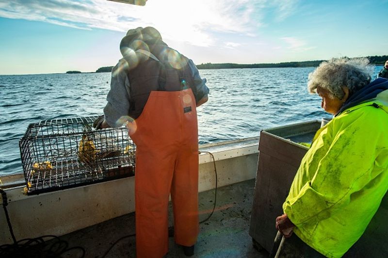 Virginia Oliver 101 year old woman still hauling lobsters