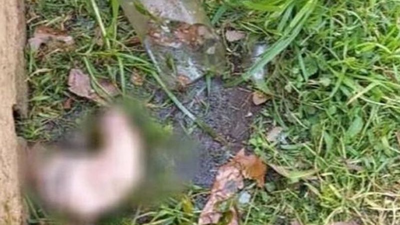 Argentina shocking news private part was found in the bottle