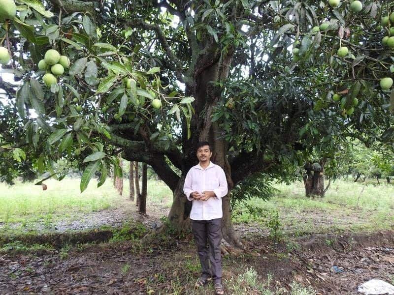 Syed Gani Khans mango museum in karnataka