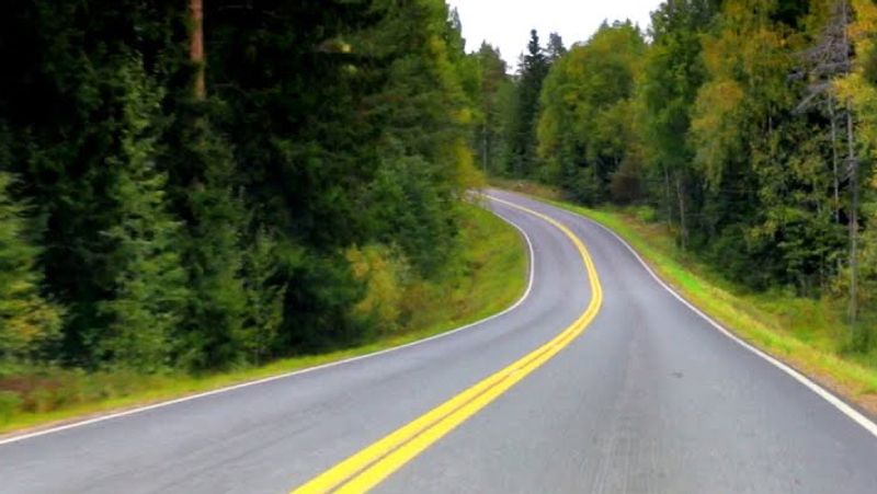 shocking news 7 weirdest traffic rules in the world