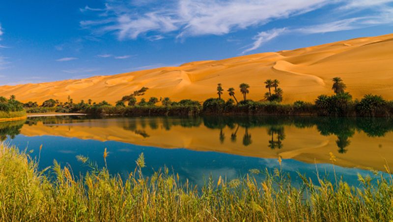 Libya Gaddafi turned this beautiful country into hell protesting against him resulted in death punishment