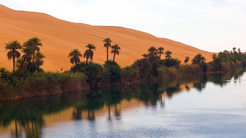 Libya Gaddafi turned this beautiful country into hell protesting against him resulted in death punishment