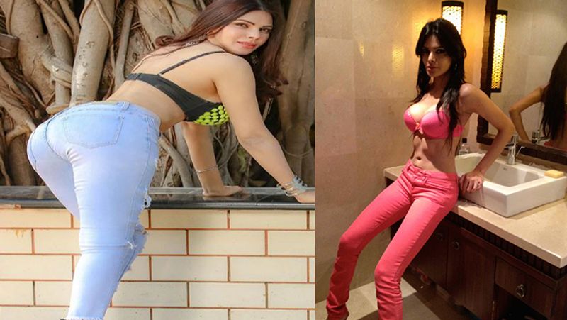 Sherlyn Chopra came in limelight after Raj Kundra case, actress posed for Playboy magazine also