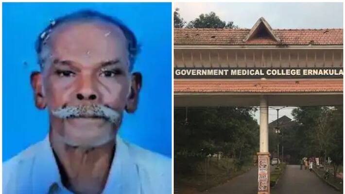 no action has been taken despite a complaint in the incident that the body of a covid patient was infested with worms no action has been taken despite a complaint in the incident that the body of a covid patient was infested with worms