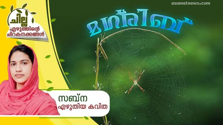 chilla malayalam poem by Sabna chilla malayalam poem by Sabna