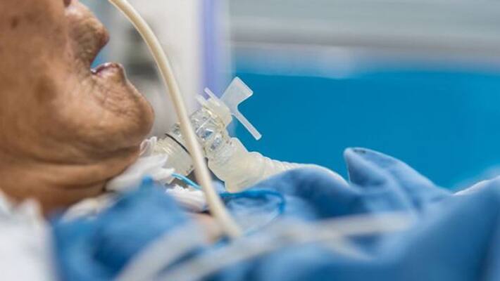 Global COVID 19 deaths hit 5 million US toll tops 7 lakh mark pod Global COVID 19 deaths hit 5 million US toll tops 7 lakh mark pod