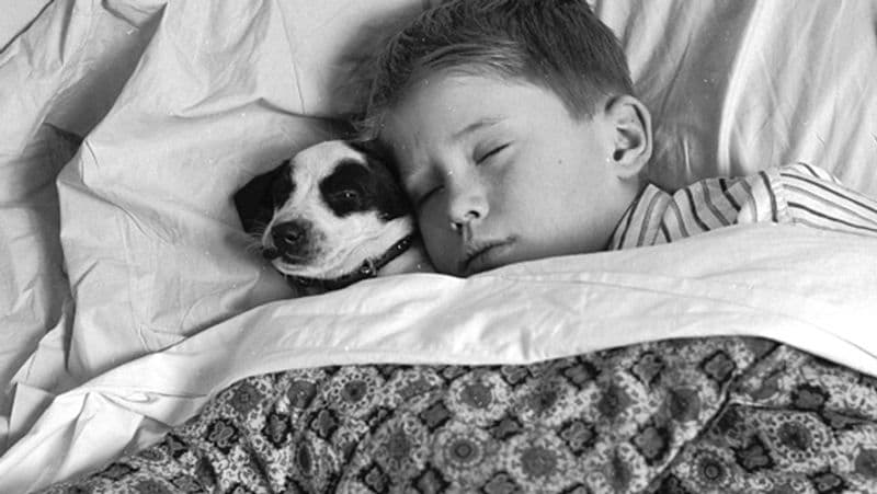 McGill University Research sleep reduces mental stress