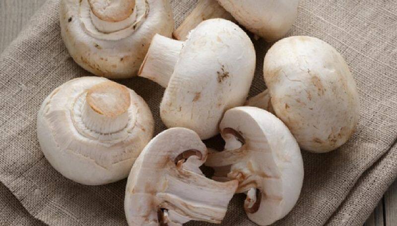 know the health benefits of mushrooms