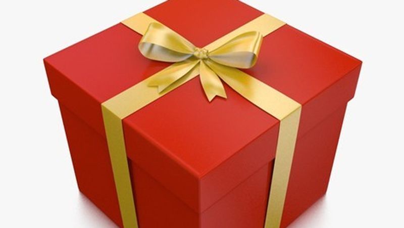Mother ordered online gift for son but it turned out to be a sex toy