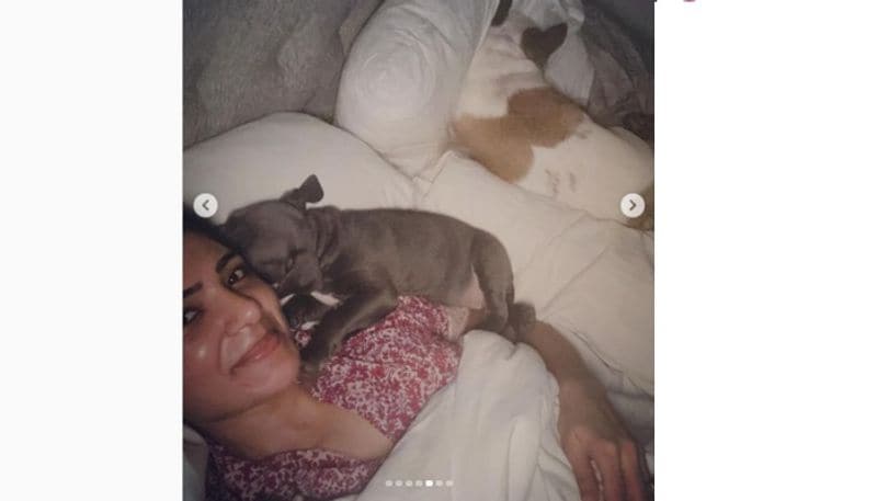 Is Samantha Ruth Prabhu's husband Naga Chaitanya following her footsteps? Read this interesting info RCB
