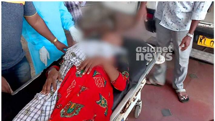 health workers kidnapping attempt in alappuzha family against police health workers kidnapping attempt in alappuzha family against police