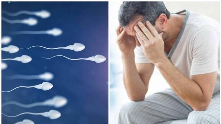 relationship between the sperm volume and fertility relationship between the sperm volume and fertility