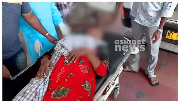 attempt to abduct health worker in thrikkunnapuzha human rights commission has registered a case attempt to abduct health worker in thrikkunnapuzha human rights commission has registered a case