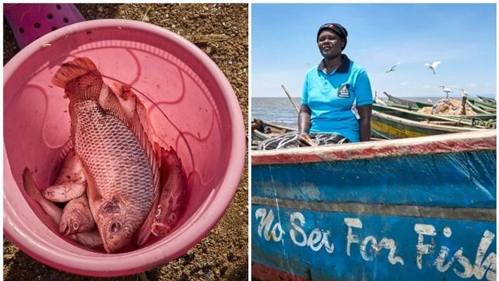 No sex for fish brave women of Nduru Beach Kenya No sex for fish brave women of Nduru Beach Kenya