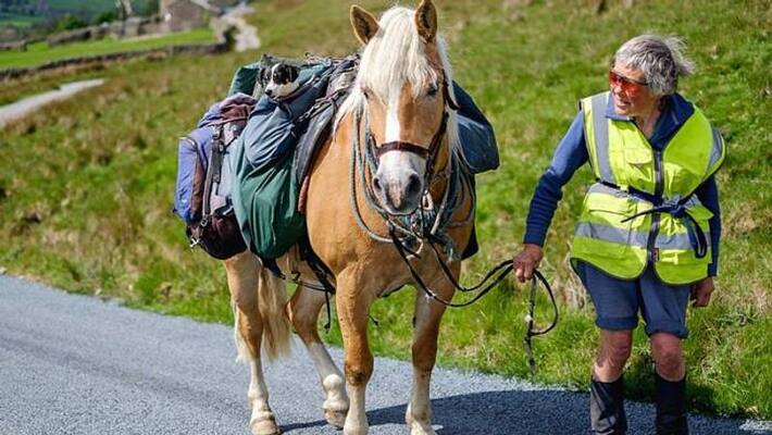 80 year old Jane Dotchin treks 1000 km with her horse and dog every year 80 year old Jane Dotchin treks 1000 km with her horse and dog every year