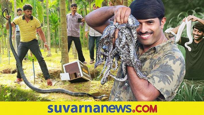 Sanke Kiran from Mangaluru saved more than 4800 snakes dpl Sanke Kiran from Mangaluru saved more than 4800 snakes dpl