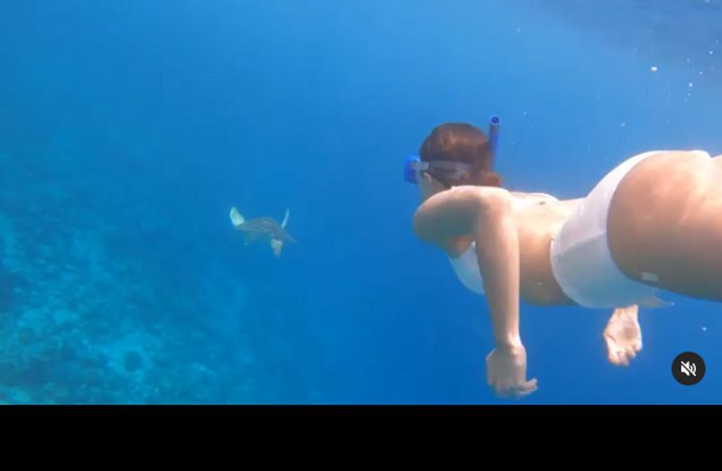 Ananya Panday turns Mermaid but in a bikini watch her latest video