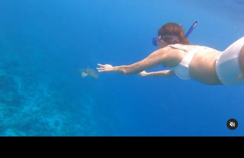 Ananya Panday turns Mermaid but in a bikini watch her latest video